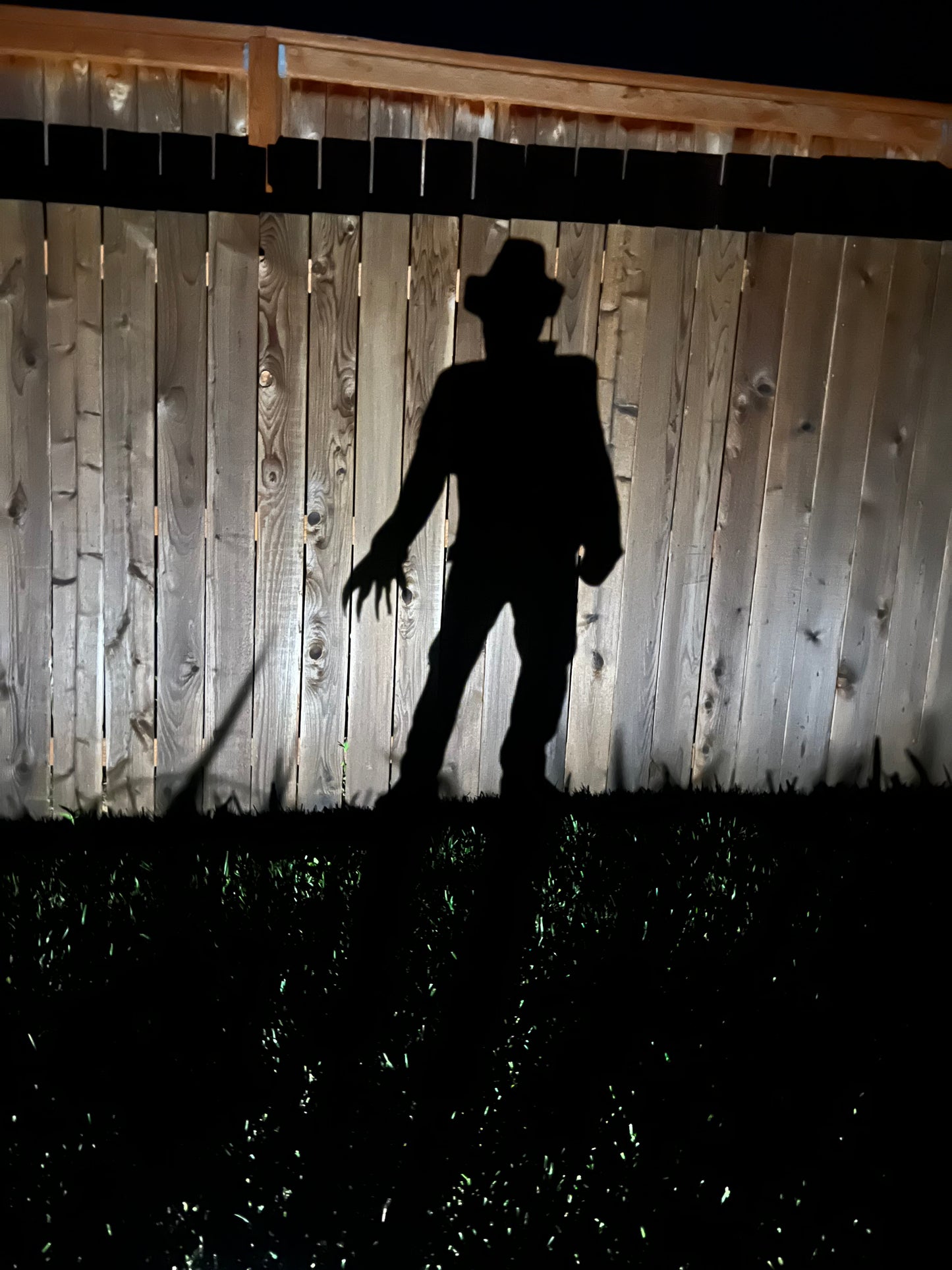 Freddy Krueger Shadow Caster